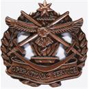 ADF Operational Service Badge
