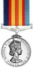 Vietnam medal