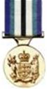 special service medal