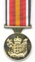 special service medal