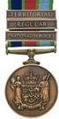 New Zealand Defence Service  Medal
