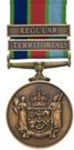 New Zealand Defence Service  Medal Territorial Force Rgeular Force