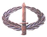 Infantry Combat Badge