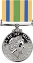 Ira Reconstruction Service Medal